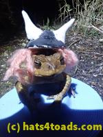 /home//u458753944/public_html/sourcegallery//Roxborough Toad Detour/2021/2021-04-10/P4100239.JPG
